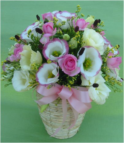 ����ԁ@���ԃA�����W/�p�X�e���g���R